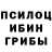 Псилоцибиновые грибы Psilocybe gggttt