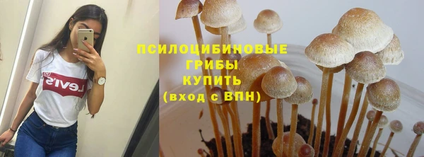 экстази Арсеньев