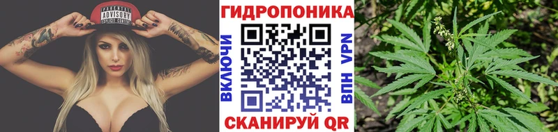 Бошки Шишки сатива  Чухлома 